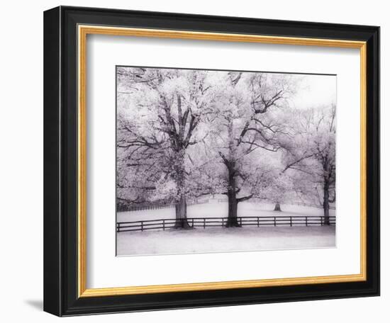 Trees and Fence in Snowy Field-Robert Llewellyn-Framed Photographic Print