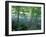 Trees and Ferns on Banks of Campbell River, Vancouver Island, British Columbia-Brent Bergherm-Framed Photographic Print