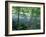 Trees and Ferns on Banks of Campbell River, Vancouver Island, British Columbia-Brent Bergherm-Framed Photographic Print