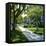 Trees and Grass Along Sidewalk, Beverly Hills, Los Angeles, California, USA-David Lomax-Framed Premier Image Canvas