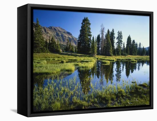 Trees and Grass Reflecting in Pond, High Uintas Wilderness, Wasatch National Forest, Utah, USA-Scott T. Smith-Framed Premier Image Canvas