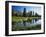 Trees and Grass Reflecting in Pond, High Uintas Wilderness, Wasatch National Forest, Utah, USA-Scott T. Smith-Framed Photographic Print