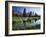 Trees and Grass Reflecting in Pond, High Uintas Wilderness, Wasatch National Forest, Utah, USA-Scott T. Smith-Framed Photographic Print