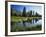 Trees and Grass Reflecting in Pond, High Uintas Wilderness, Wasatch National Forest, Utah, USA-Scott T. Smith-Framed Photographic Print