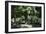 Trees and Graves at Brompton Cemetery, Kensington, London-Richard Bryant-Framed Photographic Print