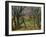 Trees and Houses, circa 1885-Paul Cézanne-Framed Giclee Print