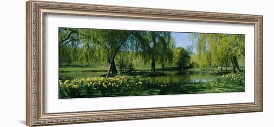 Trees and plants in a formal garden, Leeds Castle, Kent, England-null-Framed Photographic Print