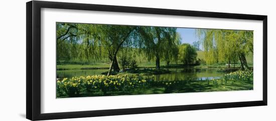 Trees and plants in a formal garden, Leeds Castle, Kent, England-null-Framed Photographic Print