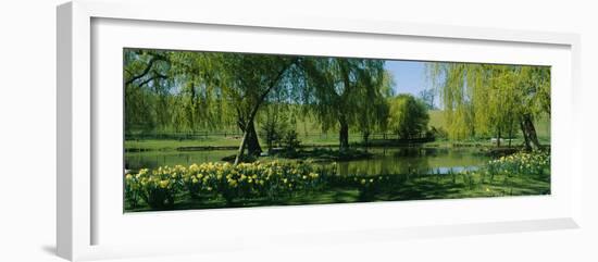 Trees and plants in a formal garden, Leeds Castle, Kent, England-null-Framed Photographic Print