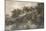 Trees and Ponds Near Bromley, Kent, C.1798 (W/C over Pencil with Bodycolour on Paper)-Thomas Girtin-Mounted Giclee Print