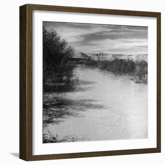 Trees and Scrub Lining the River Jordan, Mountains in the Background-Dmitri Kessel-Framed Photographic Print