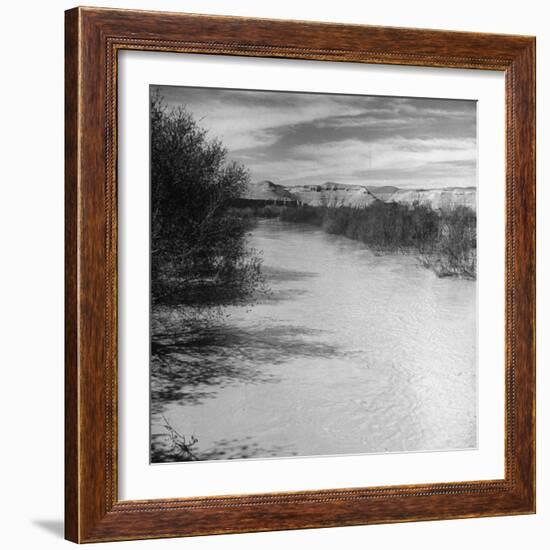 Trees and Scrub Lining the River Jordan, Mountains in the Background-Dmitri Kessel-Framed Photographic Print