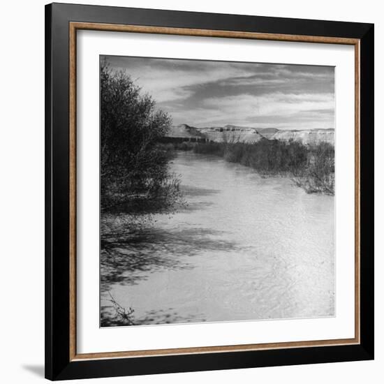 Trees and Scrub Lining the River Jordan, Mountains in the Background-Dmitri Kessel-Framed Photographic Print