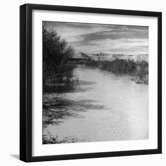 Trees and Scrub Lining the River Jordan, Mountains in the Background-Dmitri Kessel-Framed Photographic Print