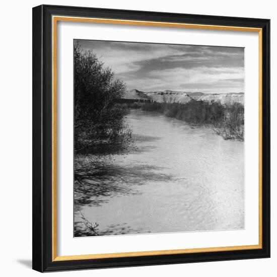 Trees and Scrub Lining the River Jordan, Mountains in the Background-Dmitri Kessel-Framed Photographic Print