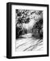 Trees and Shadows on Sand-Rich LaPenna-Framed Giclee Print