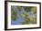 Trees and Sky-Don Paulson-Framed Giclee Print