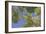 Trees and Sky-Don Paulson-Framed Giclee Print