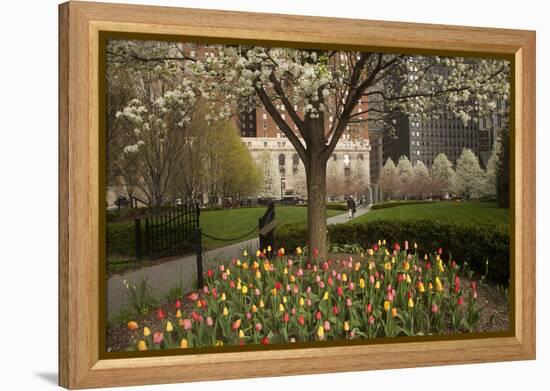 Trees and Tulips in Blloom in Mellon Green, Pittsburgh, Pa-Dave Bartruff-Framed Premier Image Canvas