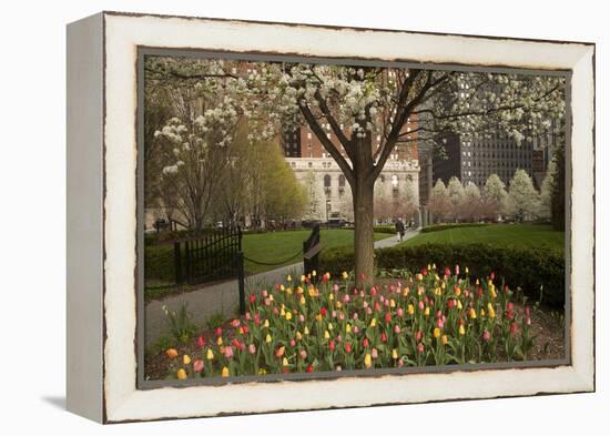 Trees and Tulips in Blloom in Mellon Green, Pittsburgh, Pa-Dave Bartruff-Framed Premier Image Canvas