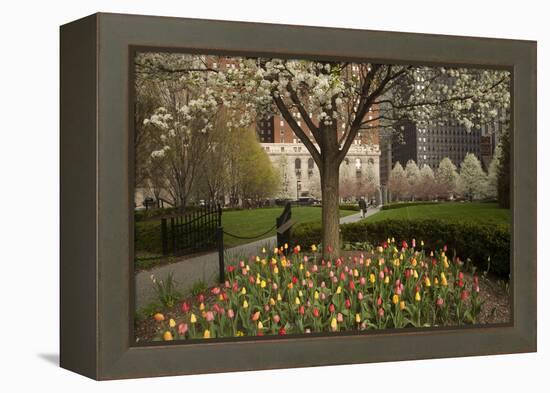 Trees and Tulips in Blloom in Mellon Green, Pittsburgh, Pa-Dave Bartruff-Framed Premier Image Canvas
