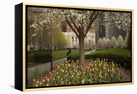 Trees and Tulips in Blloom in Mellon Green, Pittsburgh, Pa-Dave Bartruff-Framed Premier Image Canvas