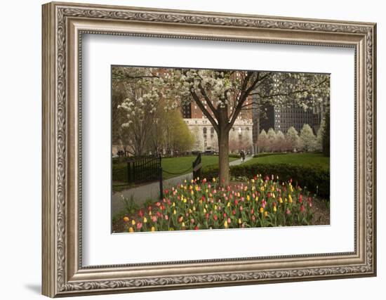 Trees and Tulips in Blloom in Mellon Green, Pittsburgh, Pa-Dave Bartruff-Framed Photographic Print