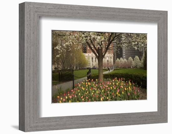 Trees and Tulips in Blloom in Mellon Green, Pittsburgh, Pa-Dave Bartruff-Framed Photographic Print