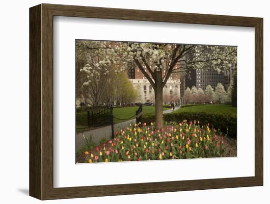 Trees and Tulips in Blloom in Mellon Green, Pittsburgh, Pa-Dave Bartruff-Framed Photographic Print