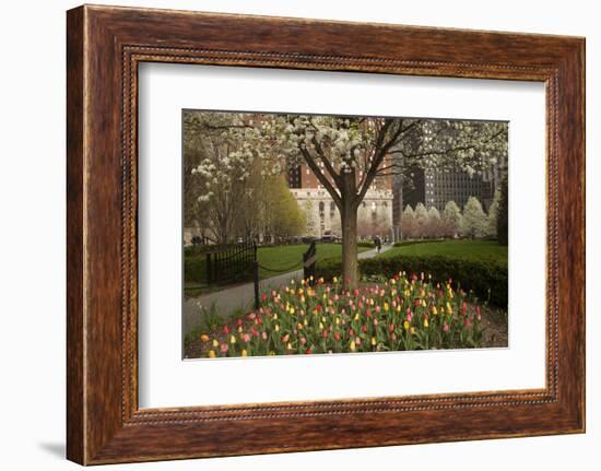 Trees and Tulips in Blloom in Mellon Green, Pittsburgh, Pa-Dave Bartruff-Framed Photographic Print