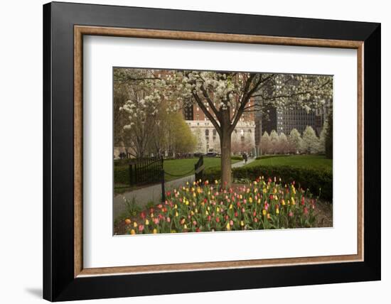 Trees and Tulips in Blloom in Mellon Green, Pittsburgh, Pa-Dave Bartruff-Framed Photographic Print