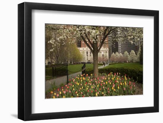 Trees and Tulips in Blloom in Mellon Green, Pittsburgh, Pa-Dave Bartruff-Framed Photographic Print