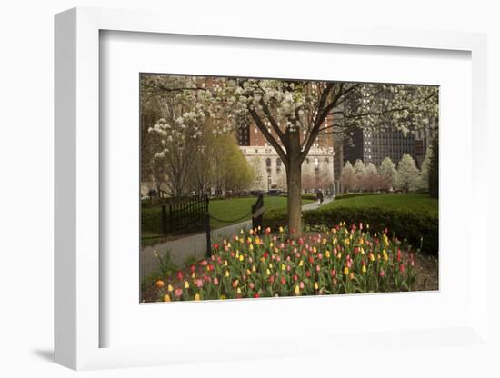 Trees and Tulips in Blloom in Mellon Green, Pittsburgh, Pa-Dave Bartruff-Framed Photographic Print