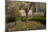 Trees and Tulips in Blloom in Mellon Green, Pittsburgh, Pa-Dave Bartruff-Mounted Photographic Print