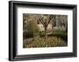 Trees and Tulips in Blloom in Mellon Green, Pittsburgh, Pa-Dave Bartruff-Framed Photographic Print