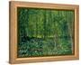 Trees and Undergrowth, c.1887-Vincent van Gogh-Framed Premier Image Canvas