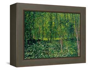 Trees and Undergrowth, c.1887-Vincent van Gogh-Framed Premier Image Canvas