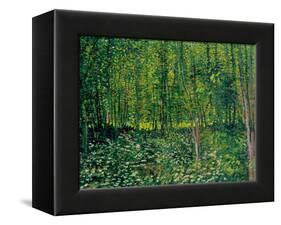 Trees and Undergrowth, c.1887-Vincent van Gogh-Framed Premier Image Canvas