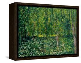Trees and Undergrowth, c.1887-Vincent van Gogh-Framed Premier Image Canvas