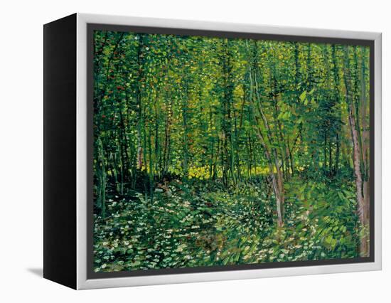 Trees and Undergrowth, c.1887-Vincent van Gogh-Framed Premier Image Canvas