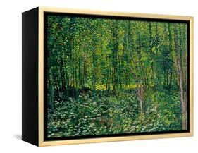 Trees and Undergrowth, c.1887-Vincent van Gogh-Framed Premier Image Canvas