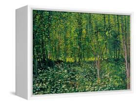 Trees and Undergrowth, c.1887-Vincent van Gogh-Framed Premier Image Canvas