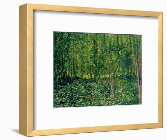 Trees and Undergrowth, c.1887-Vincent van Gogh-Framed Premium Giclee Print