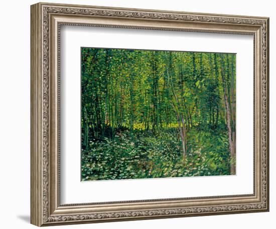 Trees and Undergrowth, c.1887-Vincent van Gogh-Framed Premium Giclee Print