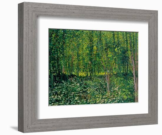 Trees and Undergrowth, c.1887-Vincent van Gogh-Framed Premium Giclee Print