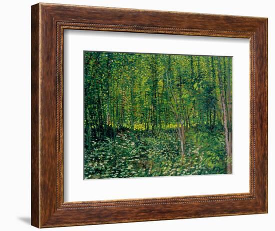 Trees and Undergrowth, c.1887-Vincent van Gogh-Framed Premium Giclee Print