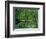 Trees and Undergrowth, c.1887-Vincent van Gogh-Framed Premium Giclee Print