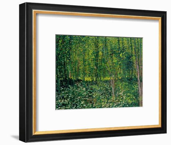 Trees and Undergrowth, c.1887-Vincent van Gogh-Framed Premium Giclee Print