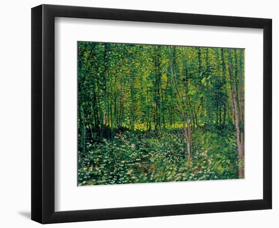 Trees and Undergrowth, c.1887-Vincent van Gogh-Framed Premium Giclee Print