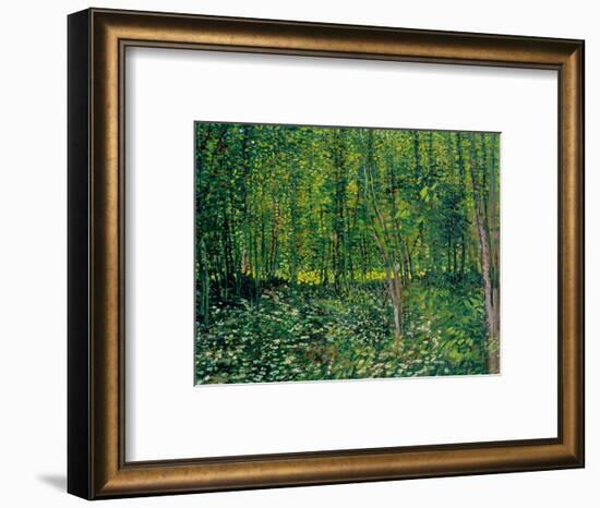 Trees and Undergrowth, c.1887-Vincent van Gogh-Framed Premium Giclee Print